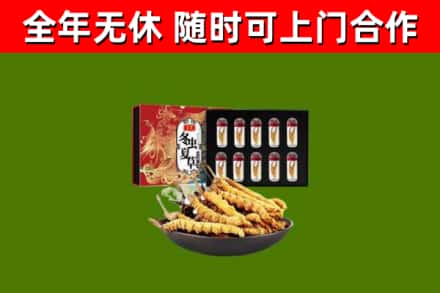 碑林回收冬虫夏草价格